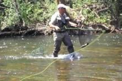 Pablo Castro, pescando durante la Semana Internacional de la Trucha