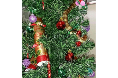 Una serpient tigre se ha colado en el árbol de Navidad de una mujer de Melbourne.