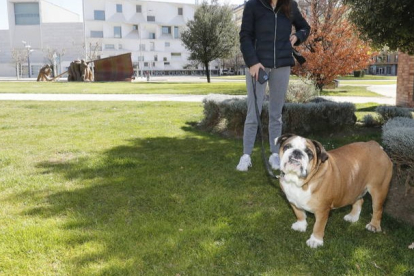 Un perro en una zona verde del barrio de Eras de Renueva. RAMIRO