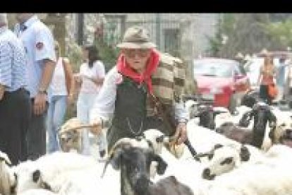 El Día de la Provincia de León y la XIII fiesta de la trashumancia que se celebró el pasado 2 de julio en el pueblo de Prioro congregaron a miles de personas desde primeras horas de la mañana.