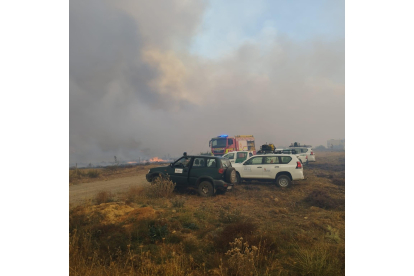 Operativo desplegado en la zona del incendio. CAMPOS