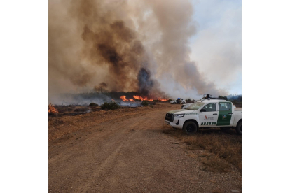 Operativo desplegado en la zona del incendio. CAMPOS