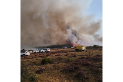 Operativo desplegado en la zona del incendio. CAMPOS