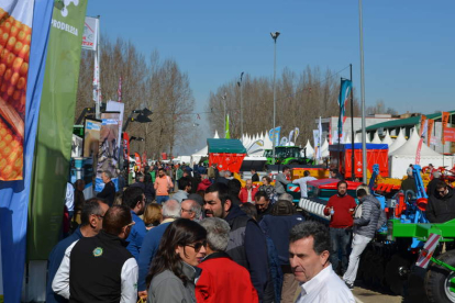 Fotografía del stand de la DO León, en la carpa de la plaza Mayor. MEDINA