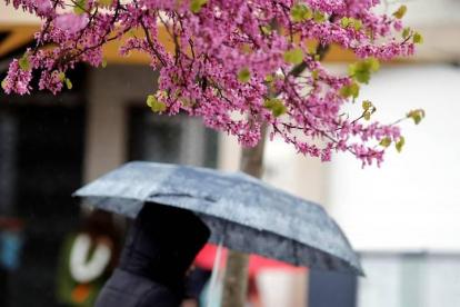 Una mujer se resguarda de la lluvia bajo su paraguas