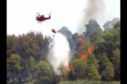 En total, han ardido 57.430 hectáreas en lo que va de año.