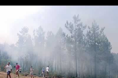 El incendio originado en el paraje 'El Cerquido' de Almonaster la Real está afectando principalmente a una superficie de matorral y eucaliptos.