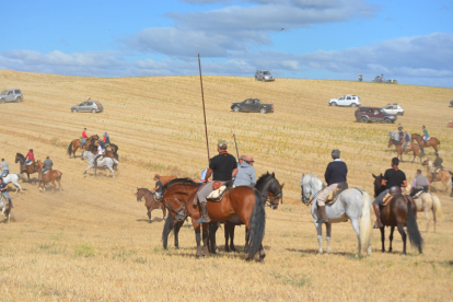 Encierro taurino de campo en Villaornate. REDACCIÓN.