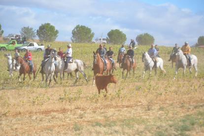 Encierro taurino de campo en Villaornate. REDACCIÓN.