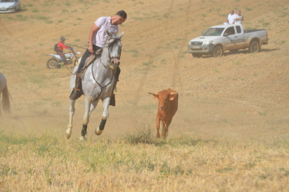 Encierro taurino de campo en Villaornate. REDACCIÓN.