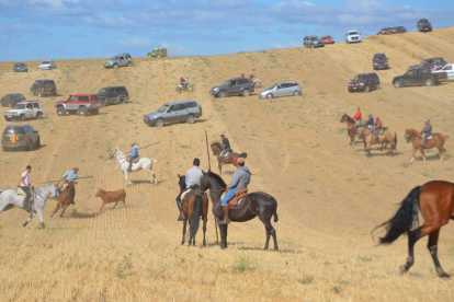 Encierro taurino de campo en Villaornate. REDACCIÓN.