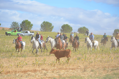 Encierro taurino de campo en Villaornate. REDACCIÓN.