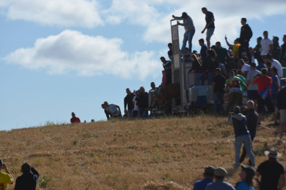 Encierro taurino de campo en Villaornate. REDACCIÓN.