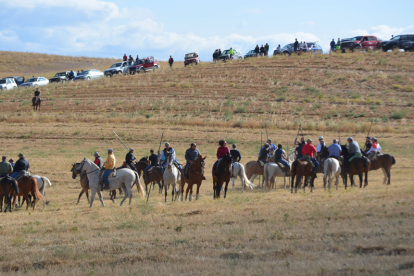 Encierro taurino de campo en Villaornate. REDACCIÓN.