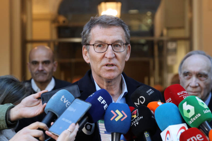 El presidente del PP, Alberto Núñez Feijóo. KIKO HUESCA
