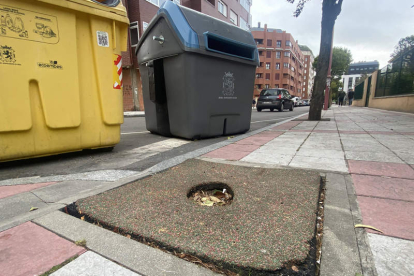 La calle Murillo carece ya de la sombra de los árboles