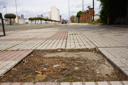 La avenida de Doctor Fleming sufre la falta de adoquines