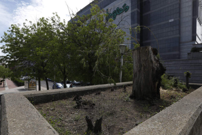 La zona ajardinada frente al Corte Inglés se ha quedado sin árboles