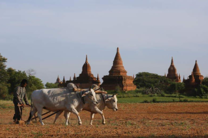 Los templos de Bagan (Birmania). LYNN BO BO