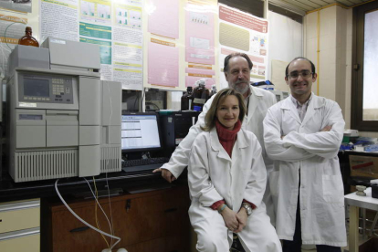 Vega Villar Suárez, Julio G. Prieto Fernández y Jaime Sánchez Lázaro forman el núcleo de la investigación.