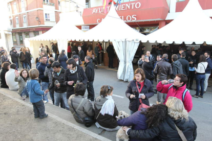 Cacabelos cerró ayer la Feria del Vino que este año ha vuelto a la plaza Mayor.
