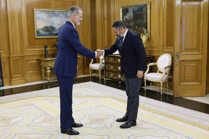 El rey Felipe VI recibe al líder de Vox, Santiago Abascal. EFE/ Chema Moya / POOL