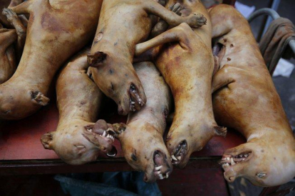 Imagen de archivo de preparativos para el festival de Carne de Perro de Yulin.