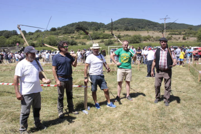 Los montañeses se esforzaron en el concurso de siega a guadaña en la fiesta de la trashumancia. CAMPOS