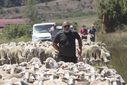 Las ovejas y los pastores tuvieron un lugar destacado en la fiesta de la trashumancia. CAMPOS