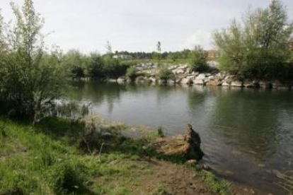 El río Sil a su paso por Ponferrada, con el barrio de La Estación al fondo.