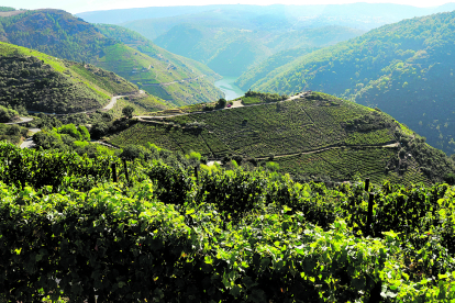 Desde los Ancares, pasando por los valles de El Bierzo, los montes del Curueño, la Valdorria, Aviados, Tábara, Zamora y León, la peregrinación que San Froilán realizó al comienzo de la Reconquista, bien merece ser recordada con una ruta que ponga en valor todos los hitos del Reino. DL