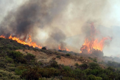 El incendio que quemó 10.000 Has. de monte en La Cabrera en 2017. JESÚS F. SALVADORES