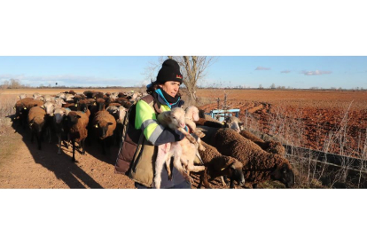 Otra tarde más de febrero Violeta Alegre regresa a la majada con los brazos cargados de corderos. RAMIRO