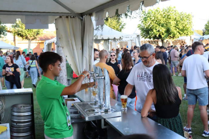 Seis cerveceras de España participan en la feria. D. CUBILLAS