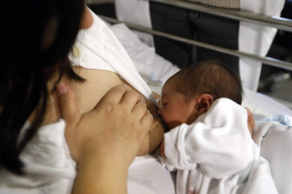 El agarre al pecho en las primeras horas de vida favorece la lactancia materna. MARCIANO PÉREZ