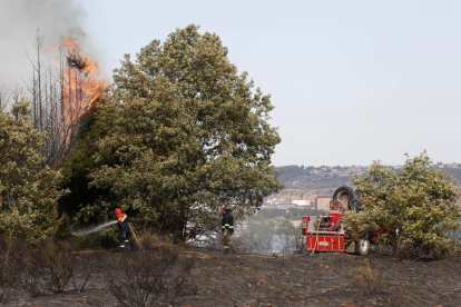 Los bomberos luchan contra las llamas. FERNANDO OTERO