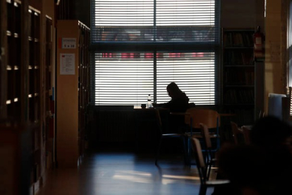 Una alumna estudia en la biblioteca de la Universidad. ARCHIVO