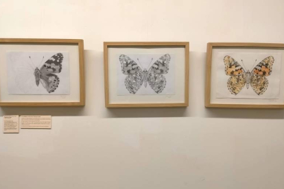La segunda de las muestras inmortaliza las distintas especies de mariposas que habitan en los parques naturales, a través de las acuarelas de la artista asturiana Isabel González. DL.