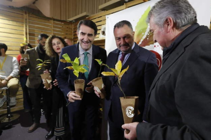 Quiñones, Morán y Valcarce, ayer, tras atender a los medios en Biocastanea, con plantas de castaños. ANA F. BARREDO