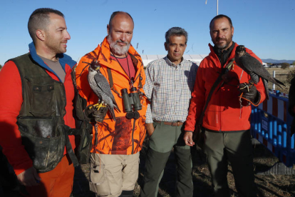 Jornadas de cetrería en La Virgen del Camino. RAMIRO