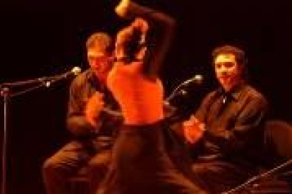 Un instante del espectáculo flamenco que pudo verse ayer en León