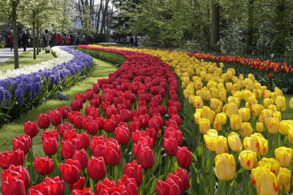 Fotografía facilitada por el parque floral 'Keukenhof', el más grande de Europa