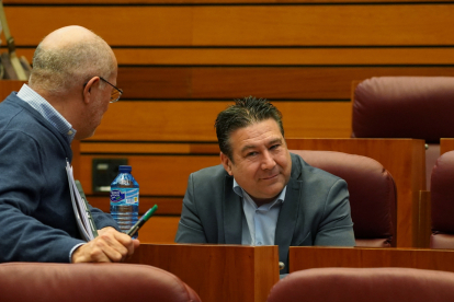 Francisco Igea y Luis Mariano Santos, durante el Pleno en las Cortes. RUBÉN CACHO
