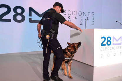 Un policía y su perro revisan el Centro Nacional de Difusión de Datos Electorales. VÍCTOR LERENA