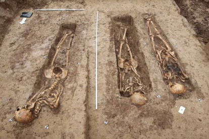 Esqueletos de algunos cuerpos, supuestamente de soldados del Gran Ejército de Napoleón Buenaparte, que ya han sido desenterrados por los arqueólogos de Frankfurt.