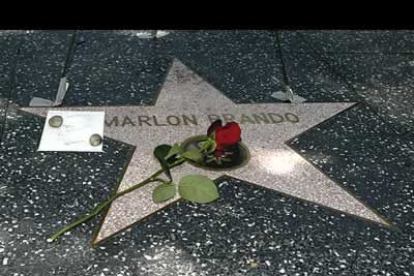 Una rosa permanece sobre la estrella del actor Marlo Brando en el Paseo de la Fama de California. El actor, que murió a los 80 años, sufría problemas coronarios y de movilidad.
