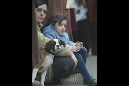 Un perro destaca entre el numeroso público que se acercó al centro de la capital para presenciar la procesión.