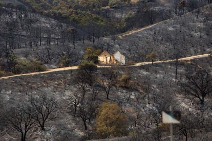 Vista de la zona arrasada por el incendio en Estepona, que obligó al desalojo de mil personas. DANIEL PÉREZ