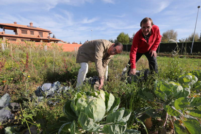Francisco Catalán y Fernando Quintanilla posan en el huerto ecológico sembrado en el curso de jardinería financiado solidariamente