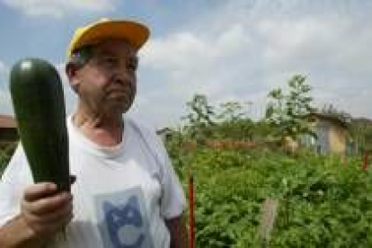 Oben Santamarta muestra uno de los calabacines de más tamaño que le ha dado su huerto este verano